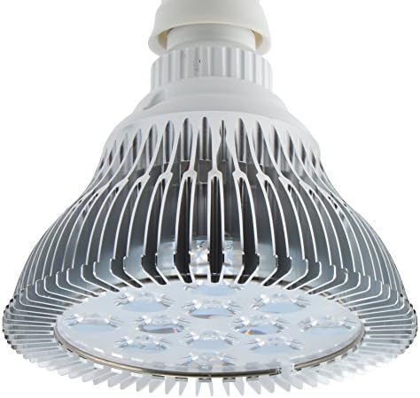 LED Light Bulb for Red Light Therapy, 660nm Deep Red and 850nm Near Infrared Combo, 24W Class