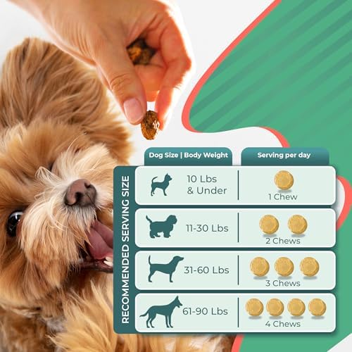 140 Dog Allergy Relief Chews with Colostrum, Vitamin C, & Bee Pollen - Vet-Formulated Dog Allergy Chews for Itchy Skin, Hot Spots, Irritation, & Gut Health