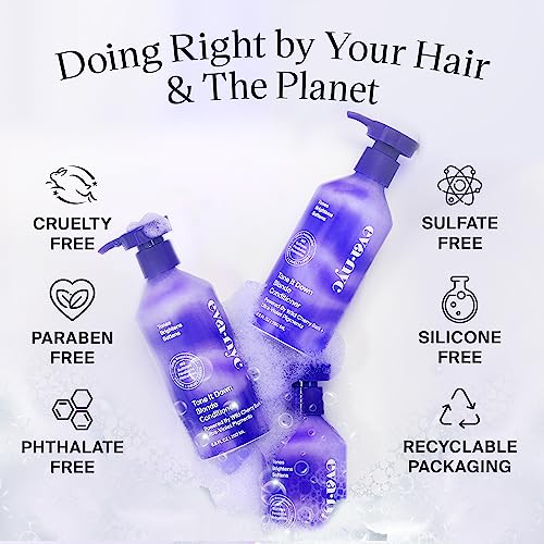 EVANYC Hair Conditioner, Tone It Down, 8.8 Fl Oz, Blonde Hair Conditioner, Purple Conditioner for Eliminating Brassy Yellow Tones, Conditioner Toner for Color-Treated Hair, Hair Moisturizer