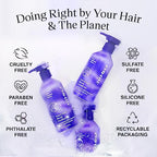 EVANYC Hair Conditioner, Tone It Down, 8.8 Fl Oz, Blonde Hair Conditioner, Purple Conditioner for Eliminating Brassy Yellow Tones, Conditioner Toner for Color-Treated Hair, Hair Moisturizer