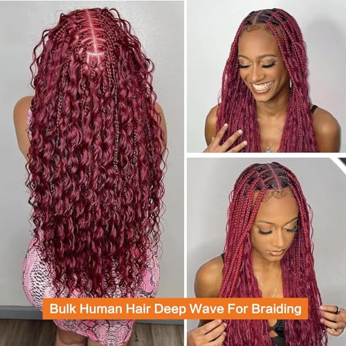 Burgundy Deep Wave Human Braiding Hair for Boho Braids 2 Bundles Total 100g 16 Inch Deep Wave Bulk Human Hair for Braiding No Weft Brazilian Virgin Curly Human Hair Extensions