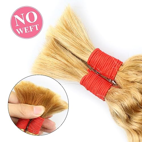 Deep Wave Bulk Human Hair for Braiding No Weft 100 g (1 Pack-2 Bundles) 100% Unprocessed Brazilian Virgin Human Hair Bulk Human Braiding Hair For BOHO Braids Curly Deep Bulk 22 inch Honey Blonde #27