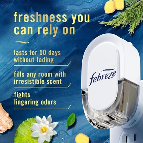 Febreze Odor-Fighting Fade Defy PLUG Air Freshener, Mountain, Ocean, Amber, 3 Ct, 0.87 fl oz Each Pack of 2
