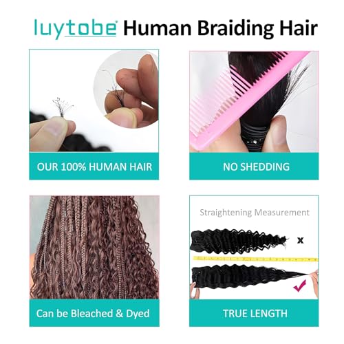 Boho Hair for Braiding 16 Inch Ginger #350 Human Braiding Hair for Boho Braids Human Curly Hair for Boho Knotless Braids 2 Bundles 100g Deep Wave Bulk Human Hair for Braiding (Ginger #350, 16 Inch)