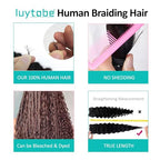 Boho Hair for Braiding 16 Inch Ginger #350 Human Braiding Hair for Boho Braids Human Curly Hair for Boho Knotless Braids 2 Bundles 100g Deep Wave Bulk Human Hair for Braiding (Ginger #350, 16 Inch)
