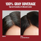 Revlon ColorSilk with Bond Repair Complex, Permanent Hair Color, 100% Gray Coverage, Ammonia Free Hair Dye, Vegan Keratin, 42 Medium Auburn (Pack of 3)