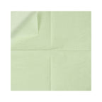 300 Pack Cocktail Napkin 2-Ply Dessert Napkins Folded 5 x 5 Inches Disposable Napkins for Dinner Wedding Birthday Party Bridal Anniversary Reception Event (300, Sage-Green)