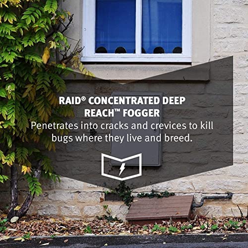 Raid Deep Reach Fogger 4.5 Ounce (Pack of 3)