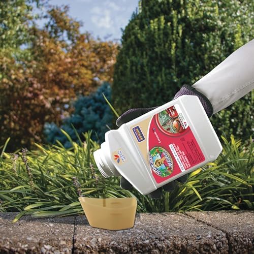 Bonide Captain Jack's Deadbug Brew, 16 oz Concentrate Outdoor Insecticide and Mite Killer for Organic Gardening