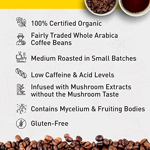 Enerhealth Botanicals NutriCafé Pure Cordyceps – Fairly Traded, Low Acid, Medium Roast Whole Arabica Bean Coffee, Infused with Organic Mushroom Extracts to Increase Vitality, Stamina, & Energy – 12 oz