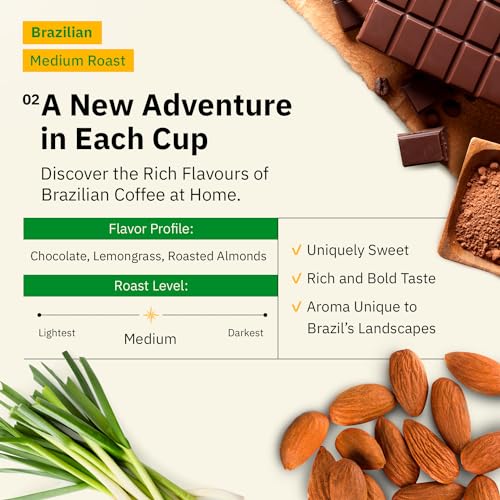 Brazilian Santos Medium Roast Coffee Beans - Single Origin Arabica Coffee Beans, Freshly Roasted to Order, Whole Bean Coffee Low Acid with Smooth Cocoa Notes, Specialty Grade and Fair Trade - 5LB