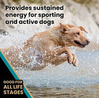 VICTOR Super Premium Dog Food – Hi-Pro Plus Dry Dog Food – 30% Protein, Gluten Free - for High Energy and Active Dogs & Puppies, 15lbs