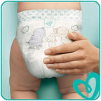 Pampers Baby-Dry Size 7, Pack of 30