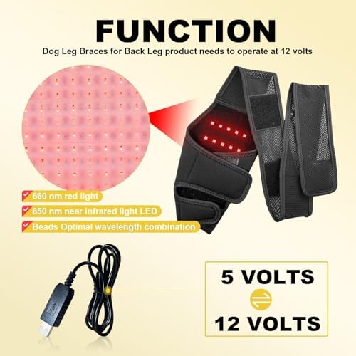 Dog Acl Brace Hind Leg — Red Light Therapy for Dogs Professional Edition Dog Knee Brace for Torn Acl Hind Leg Accelerated Wound Healing Suitable for Small Dogs（Black）— S