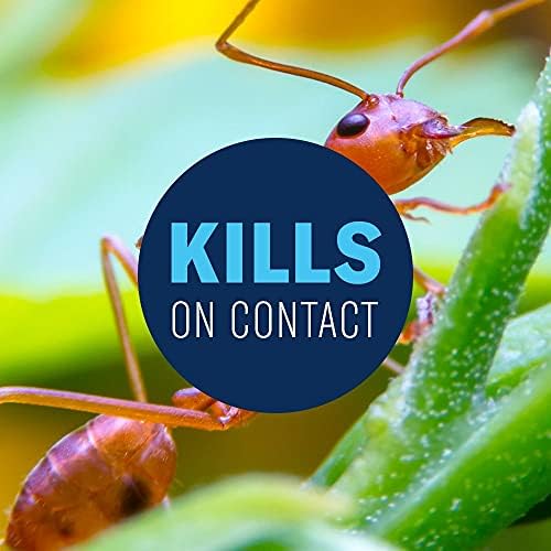 BioAdvanced 24 Hour Lawn Insect & Fire Ant Killer, Granules, 20 lb