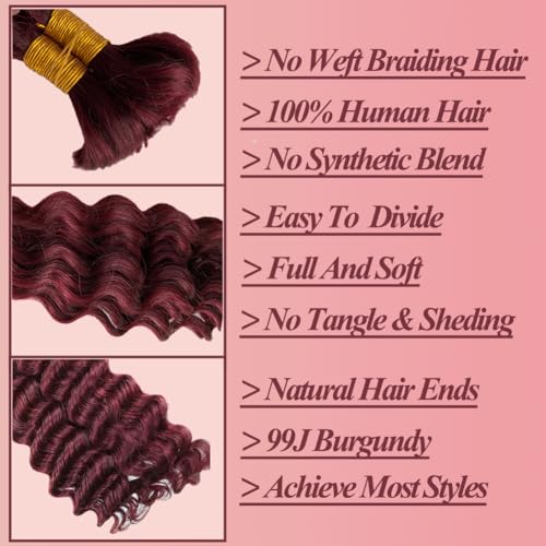 Human Hair Braiding Hair 12A Deep Wave Bulk Human Hair For Braiding 14 Inch 100g/2Bundles No Weft Human Braiding Hair Extensions 99J Burgundy Deep Wave Bulk Human Hair For Boho Braids