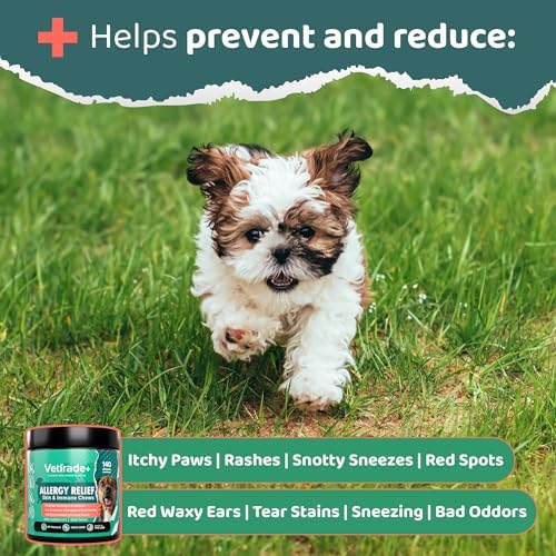 140 Dog Allergy Relief Chews with Colostrum, Vitamin C, & Bee Pollen - Vet-Formulated Dog Allergy Chews for Itchy Skin, Hot Spots, Irritation, & Gut Health