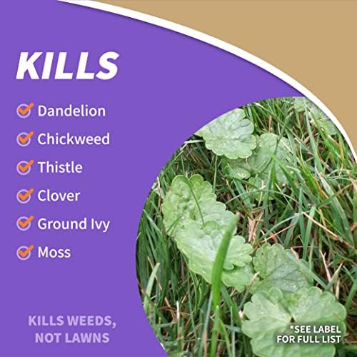 Bonide Captain Jack's Lawnweed Brew, 128 oz Ready-to-Use Spray, Fast-Acting Formula Controls Weeds, Moss, Algae, Lichens & Disease