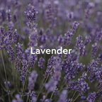 Kneipp Relaxing Lavender Aromatherapy Bubble Bath - Good for Relaxation - Vegan - 13.5 fl oz - Up to Eight Baths