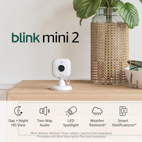 Blink Mini 2 (newest model) — Home Security & Pet Cameras with HD video, color night view, motion detection, two-way audio, and built-in spotlight — 2 cameras (White)