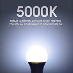 E ENERGETIC LIGHTING 150 Watt LED Bulb, 2600LM Super Bright Light Bulbs, Daylight 5000K, Dimmable A21 LED Bulb, E26 Standard Base, UL Listed, Damp Rated, 2 Pack