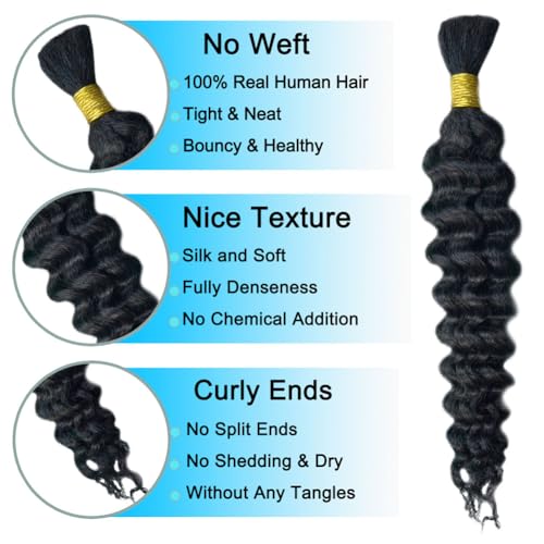 Human Braiding Hair 14 Inch 3 Bundle 150 g Deep Wave Bulk Human Hair for Braiding No Weft Curly Human Braiding Hair