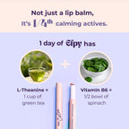 Efpy Micro-Dose Lip Balm | With Vitamins and Wellness Actives | Functional Beauty for Mind, Mood & Energy (Choose Your Formula: Calm, Curb, Perk) (Calm - Lavender & Chamomile)