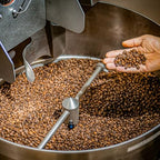 DAYES Enzyme Fermented Whole Bean Coffee - 16 oz (450g) I Low Caffeine Whole Bean Coffee I Medium Dark Roast I Low Acid I Digestion Friendly (16 Oz)