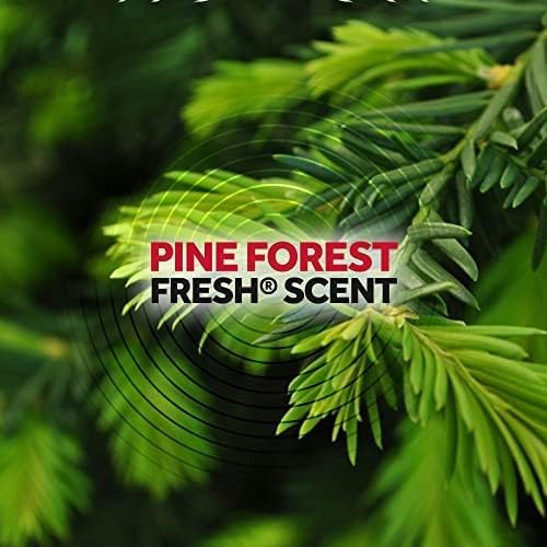 Raid Ant Killer Spray Pine Forest (17.5 Ounce (Pack of 8)