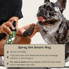 Hypochlorous Acid Spray for Dogs - Hot Spot Treatment & Allergy Relief - Dog Skin Anti Itching & Paw Licking Remedy - Wound Cleanser Spray (8.5 FL OZ) (Pack of 1)