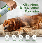 BugMD Flea and Tick Concentrate (3.7 oz) - Essential Oil-Powered Formula, Controls Fleas, Ticks, Mites in Dogs and Other Furred Animals, Spray on Pet Beds, Kennels