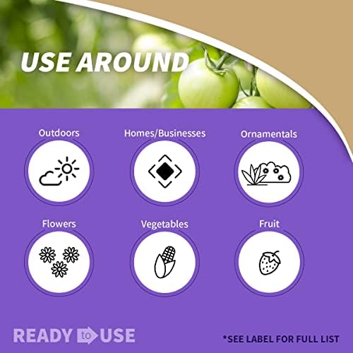 Bonide Bug Beater Stink Bug Trap, Attracts and Catches Stink Bugs Indoors and Outdoors, Long Lasting and Odorless Protection