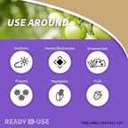 Bonide Bug Beater Stink Bug Trap, Attracts and Catches Stink Bugs Indoors and Outdoors, Long Lasting and Odorless Protection