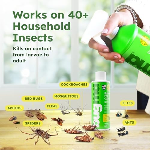 BugMD Ant Killer & Bug Spray Concentrate 3.7 oz and Empty Refillable Spray Bottle 32 oz.
