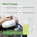 Tea Tree Scalp Water Scaler | Scalp Exfoliator for Itchy Dry Flaky Scalp, Buildup Remover, Treatment for Excess Sebum Oily Greasy Hair | Korean Hair Care Products, Refill 16.9 fl oz