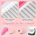 LLBA LashFolio Narrow Promade Fans | Handmade Volume Eyelashes | Multi Selections 5D~10D | C CC D Curl | Thickness 0.03~0.07mm | 8-15mm Length | Long Lasting & Easy Application (5D-0.07 CC 8mm-11mm)