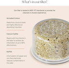 Canopy Filtered Shower Head - High Pressure Shower Head Filter for Hard Water - Shower Filter To Remove Impurities for Healthier Scalp, Skin & Hair - Reduce Dry Skin & Breakage - Black Shower Head