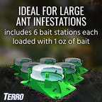 TERRO T1806SR 2-Pack Outdoor Liquid Ant Baits-12 Traps