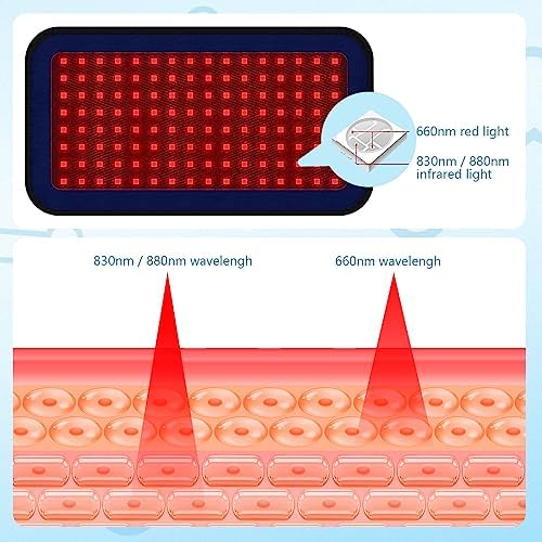 Red Infrared Light Therapy Belt for Pets Pain Relief, Portable Wearable Cold Laser Therapy Device for Dogs Tissue Repair, Joint & Back Pain