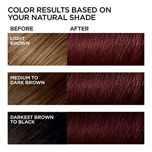 Instant Wine Red Hair Coloring for Women and Men - 3 in 1 Herbal Hair Dye Shampoo with 100% Gray Coverage in Minutes, 500ml, 16.9 Fl Oz
