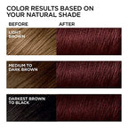 Instant Wine Red Hair Coloring for Women and Men - 3 in 1 Herbal Hair Dye Shampoo with 100% Gray Coverage in Minutes, 500ml, 16.9 Fl Oz