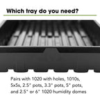 Bootstrap Farmer 1020 Trays (10-Pack), Heavy Duty No-Hole Flats for Microgreens, Fodder & Seedling Propagation - 1.8mm Thick Reusable Plastic