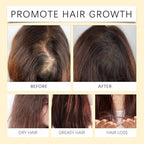 Batana Oil for Hair Growth, Liquid Batana Oil, with Rosemary, Castor, Pumpkin Seed, 4-In-1 Liquid Batana Oil, Organic Hair Oil for All Hair Types (1)