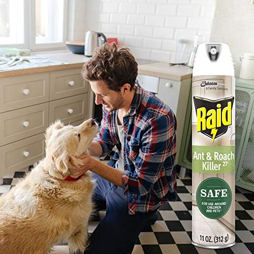 Raid Ant and Roach Killer Aerosol Spray with Essential Oils 11 Ounce (Pack of 1)