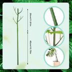Plant Stakes Set, Stackable Monstera Plant Support, Garden Plant Support Stakes for Indoor Outdoor Plants, Climbing Structures Holder Stick Moss Pole for Support Tall Potted Plants (Green 5 Pack)