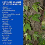 BioAdvanced Brush Killer Plus, Ready-to-Use, 1.3 Gal – Kills Tough Brush Roots & All, Kills Poison Ivy (Pack of 2)