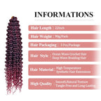 Curly Crochet Hair,Ocean Wave Crochet Hair 22Inch Curly Braiding Hair for Boho Braids Synthetic Hair Extensions for Women(22 Inch,3pack,#1B/TBug)