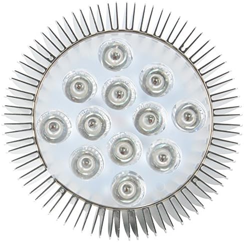 LED Light Bulb for Red Light Therapy, 660nm Deep Red and 850nm Near Infrared Combo, 24W Class