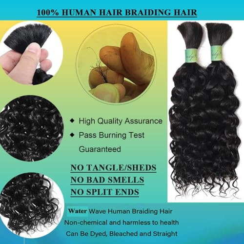 Wet and Wavy Human Braiding Hair No Weft Human Curly Hair for Boho Braids 100% Brazilian Virgin Human Hair Bulk for Micro Braids Hair 100g(2 bundles/1 pack)(24Inch,Natural Black)