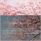 Cherry Blossom Essential Oil 120ml (4 Fl Oz), SALKING Pure & Natural Fragrance Oils, Aromatherapy Essential Oils for Diffuser, Massage, Soap, Candle Making, Perfume